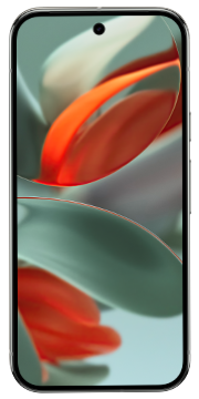 Google Pixel 9 Pro 128GB