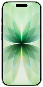 Apple iPhone 17 256GB