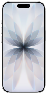 Apple iPhone 17 256GB