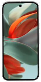Google Pixel 9 Pro 128GB