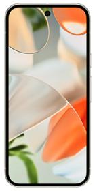 Google Pixel 9 128GB