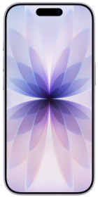 Apple iPhone 17 256GB