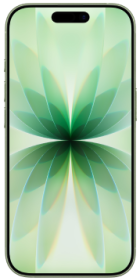 Apple iPhone 17 256GB