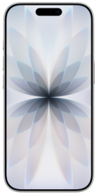 Apple iPhone 17 256GB