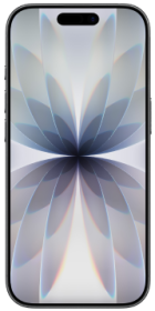 Apple iPhone 17 256GB